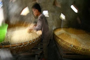 Pengetahuan soal Cuaca dan Iklim Didapat, Hasil Tani Kedelai Meningkat