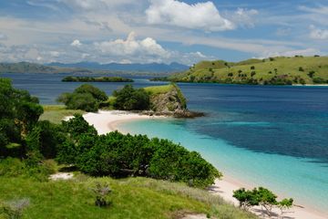 Pelesir ke Pulau Komodo Tanpa Bekal Uang 
