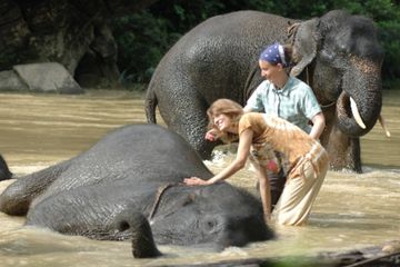Jelajah Akhir Pekan di Tangkahan, Tepian Taman Nasional Gunung Leuser