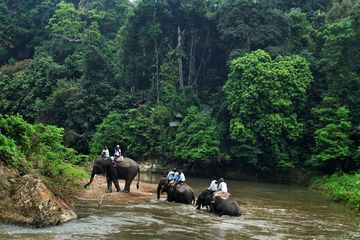 Dikembangkan, Peta PADDD untuk Memantau Kawasan Dilindungi 