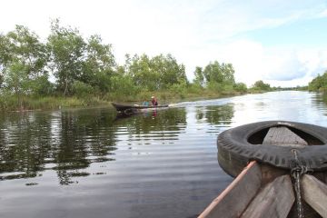 Kehidupan warga di kanal lahan gambut, Kelurahan Kameloh Baru, Sabangau, Palangkaraya, Kalimantan Tengah.