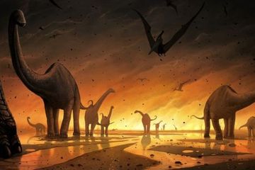 Evolusi Dinosaurus Menjadi Burung Diungkap oleh Peneliti Melalui DNA