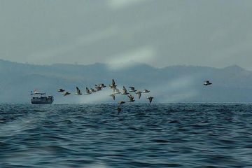 Bom Ikan di Flores Bak di Medan Perang