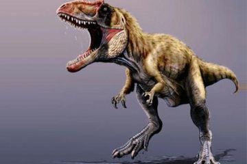 Ternyata T-rex Bukan Predator Utama di Zamannya