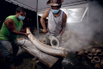 Dunia Mengutuk Perdagangan Gading Gajah 
