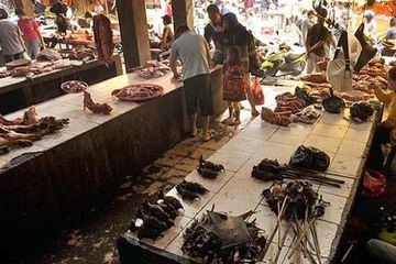 Makanan Minahasa dan Tradisi Menyantap Hewan Liar