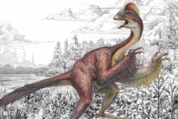 Kenalkan, Anzu Wylie yang Menjadi Keluarga Baru Dinosaurus