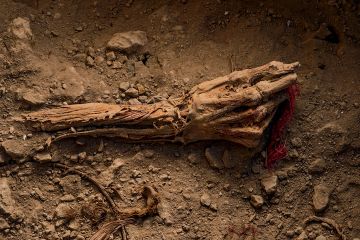 Berburu Harta Karun Makam Peru
