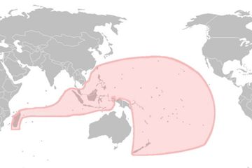 Peneliti Menemukan Jejak Penutur Austronesia