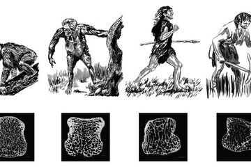 Terungkap, Leluhur Manusia Modern dan Neanderthal Dulunya Hidup Bersama