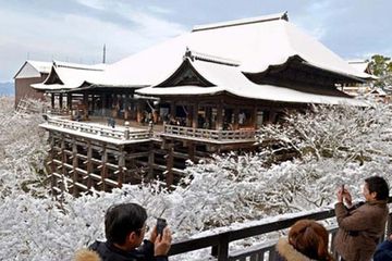 Indahnya Kuil di Kyoto yang Tertutup Salju