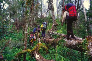 Gemar Mendaki Gunung? Kenali Gejala &lt;i&gt;Acute Mountain Sickness&lt;/i&gt;