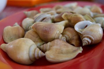 10 Makanan dan Minuman di Tanjungpinang yang Wajib Dicicipi