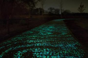 Bersepeda Sekaligus Menikmati Lukisan Van Gogh