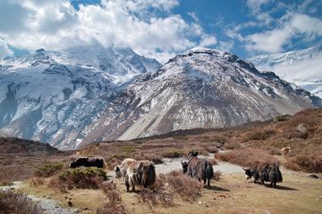 Mempengaruhi Iklim di Indonesia, Tibet Kian Hangat di Masa Depan