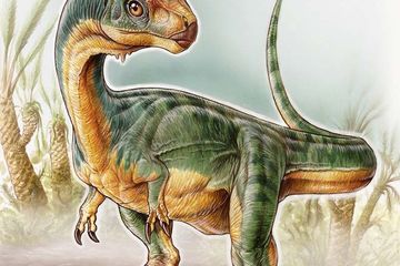 Perkenalkan! Inilah Saudara &lt;i&gt;T.Rex&lt;/i&gt; yang Justru Pemakan Tumbuhan