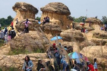 Bukit Jamur, Ikon Wisata Baru di Gresik