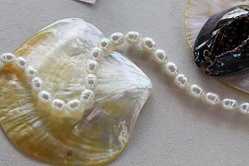 Agustus Saatnya Pecinta Mutiara ke Lombok, Ada &quot;Lombok Sumbawa Pearl Festival&quot;