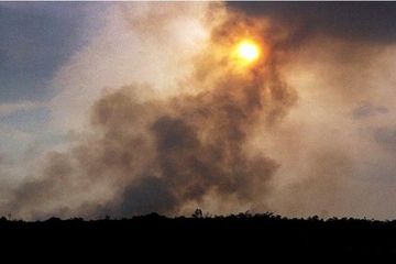 Ratusan Titik Api Tersebar di Kalimantan dan Sumatera