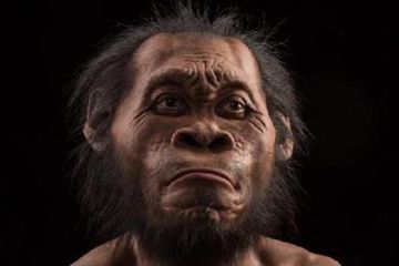 Seberapa &quot;Manusia&quot;-kah &lt;i&gt;Homo naledi&lt;/i&gt;?