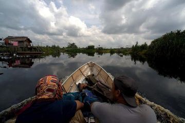 Anggara Rimba Semenanjung Kampar