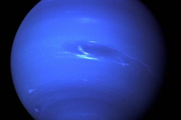 Niku, Objek Misterius di Orbit Neptunus