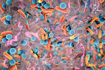 Inilah 12 Bakteri Kebal Antibiotik yang Paling Mengancam Kesehatan Manusia