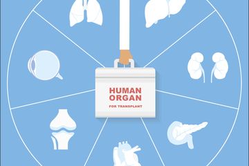 Sederet Syarat Rumit Transplantasi Organ