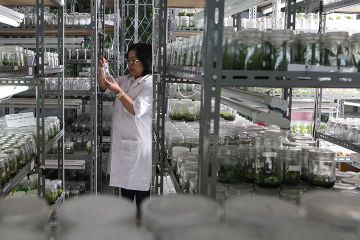 Laboratorium Pencegah Kepunahan Tumbuhan Kebun Raya Bogor