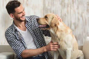 Apa yang Harus Dilakukan Bila Anda Digigit Anjing?