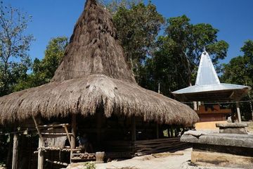 Intip Kemegahan Rumah Tradisi di Kampung Adat Nan Gagah di Sumba Barat