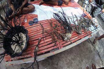 Bersepakat untuk Berantas Pencurian Ikan dan Perikanan Merusak, Daerah Ini Pantas Jadi Contoh 