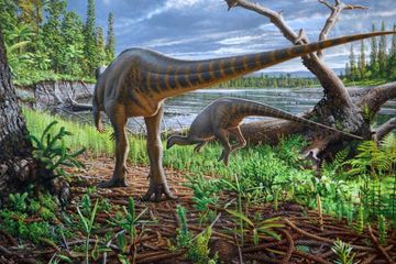 Seperti Hewan Modern, Dinosaurus Juga Menyukai Wangi Bunga  