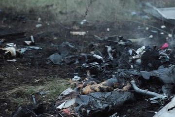 Ada 11 WNI di Pesawat Malaysia Airlines MH17