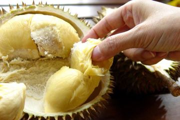 Akhirnya Aroma Durian Sampai ke Eropa