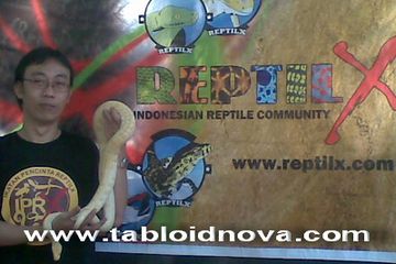 Stand Reptil Bikin Heboh Pasar Nova