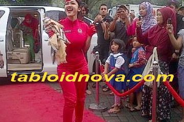 Julia Perez Disambut Karpet Merah dan Petasan