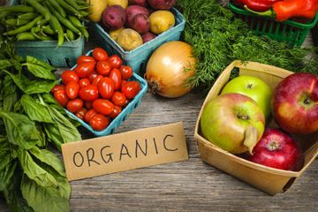 Makanan Organik Bikin Cepat Lapar