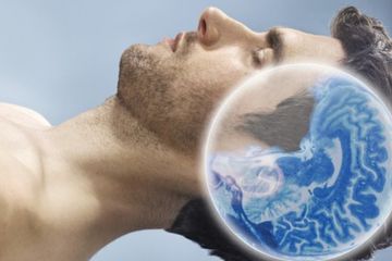 5 Manfaat Tidur untuk Kesehatan dan Kinerja Fungsi Otak
