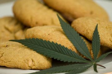 Setelah Brownies Ganja, Kini Muncul Cookies Ganja