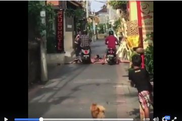 Viral! Diduga Mabuk Usai Berpesta, 2 Wisatawan Asing Dilindas Motor Karena Berjemur di Jalanan