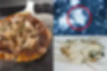 Sekarat Usai Makan Okonomiyaki Buatannya Sendiri, Tepung Terigu yang Sudah Lama Jadi Penyebabnya