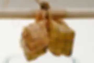 Gantung ketupat agar tak cepat basi