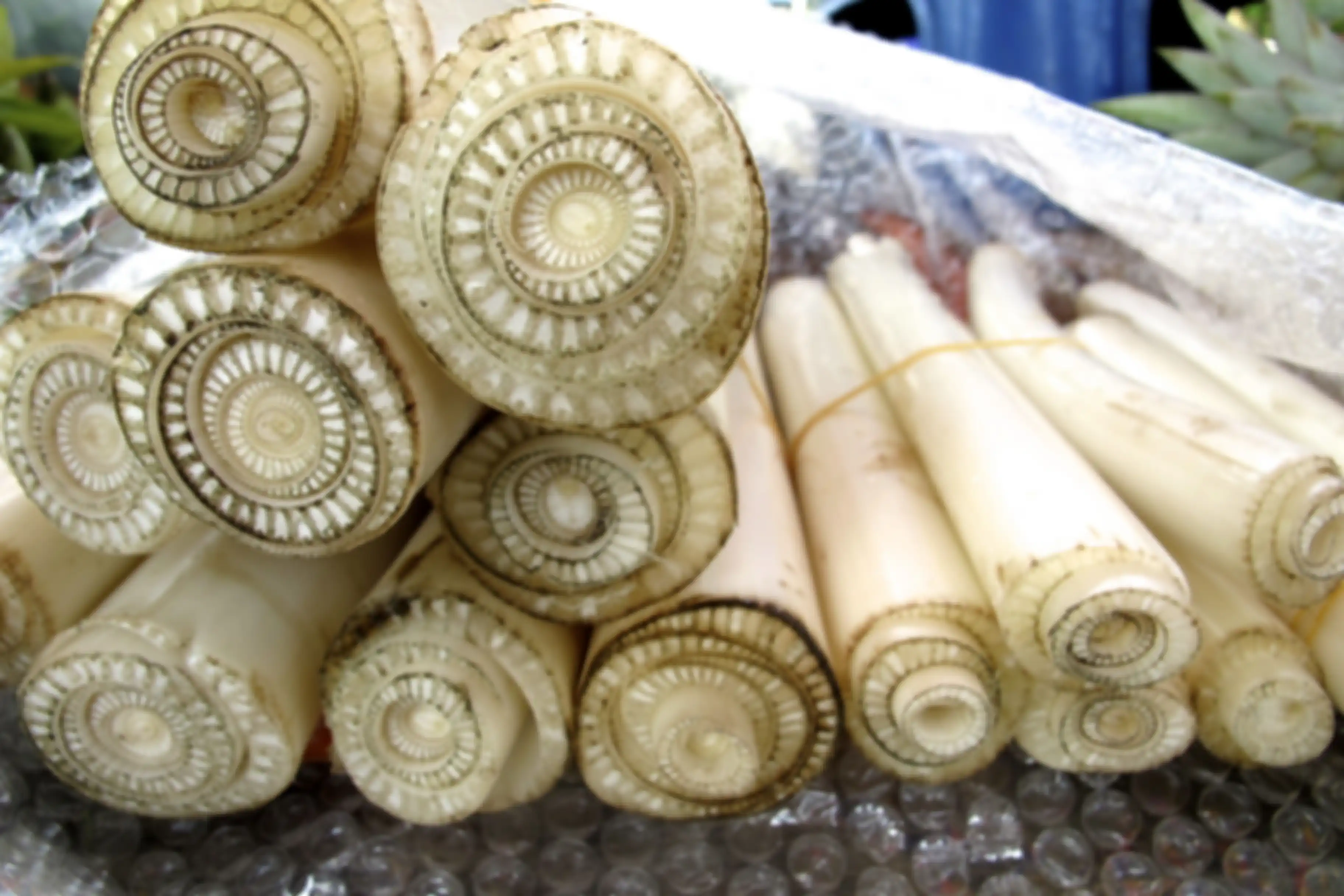 Ketagihan Minum Jus Batang Pohon Pisang, Perempuan Ini Kaget saat Rasakan Perubahan Luar Biasa pada Tubuhnya, Apa Saja Khasiatnya?