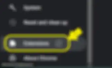 Pilihan Ekstensi di Google Chrome