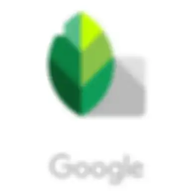 ikon aplikasi Google Snapseed