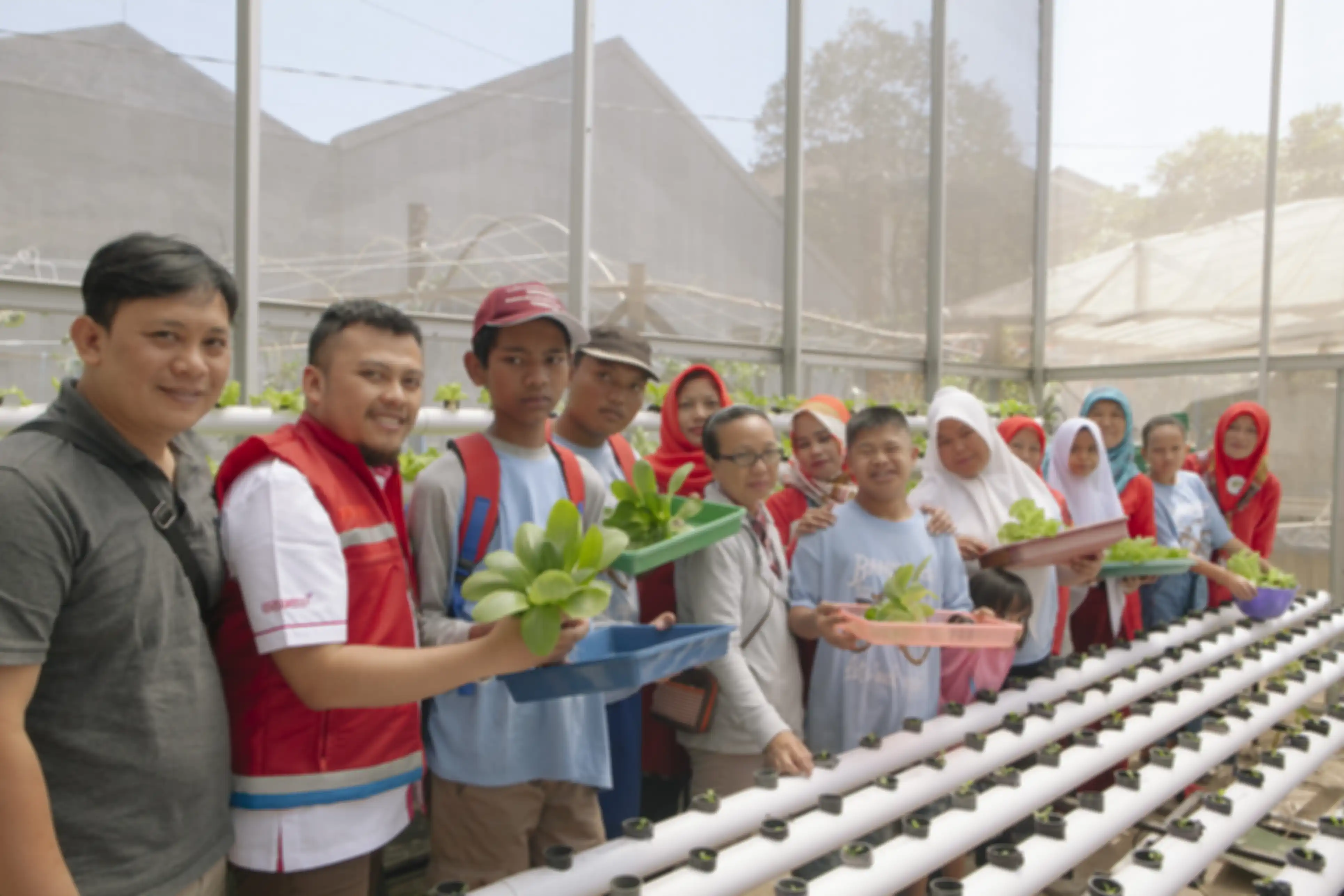 Anak-anak sekolah Dreamable di kebun hidroponik Pokbun Flamboyan.