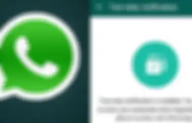 Inilah Fungsi Verifikasi Dua Langkah Dalam WhatsApp, Penting Nih