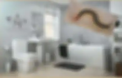 5 Cara Mudah Basmi Kelabang di Kamar Mandi Biar Tak Kembali Lagi!