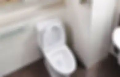 Dudukan Toilet Bisa Tularkan Virus Corona, Bagaimana Mecegah Anak-anak Agar Terhindar dari Virus Ini di Kamar Mandi?